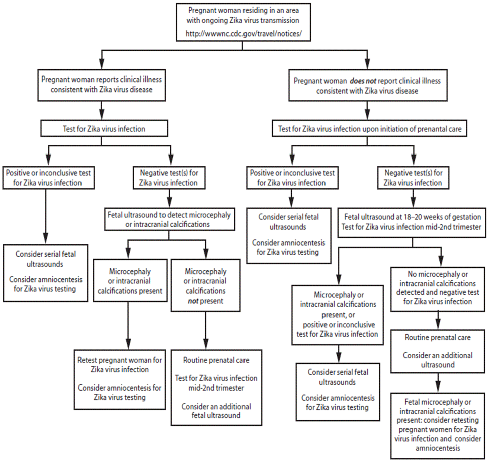 Zika Virus What We Need To Know IQ Solutions